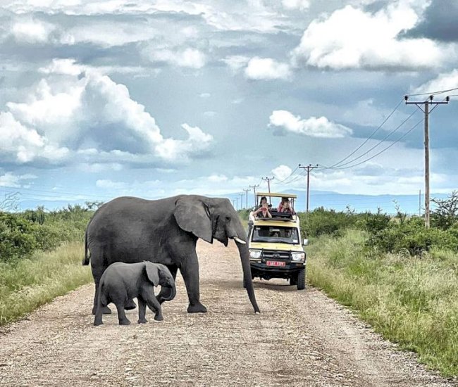 Queen Elizabeth National Park in Uganda